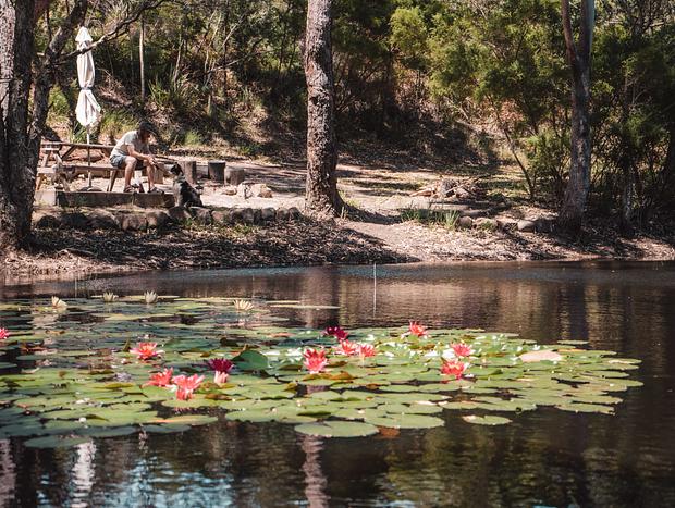 Photo 5 for Dog Friendly Billabong Retreat