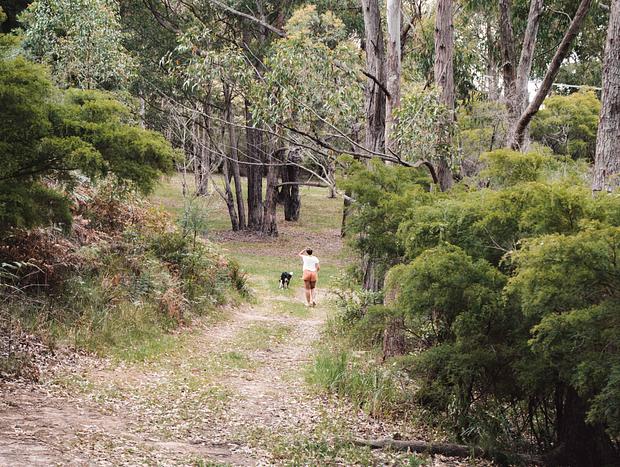 Photo 29 for Dog Friendly Billabong Retreat