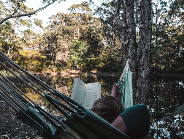 Photo 16 for Dog Friendly Billabong Retreat