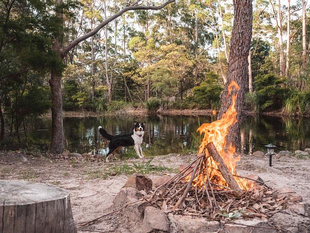Photo 6 for Dog Friendly Billabong Retreat
