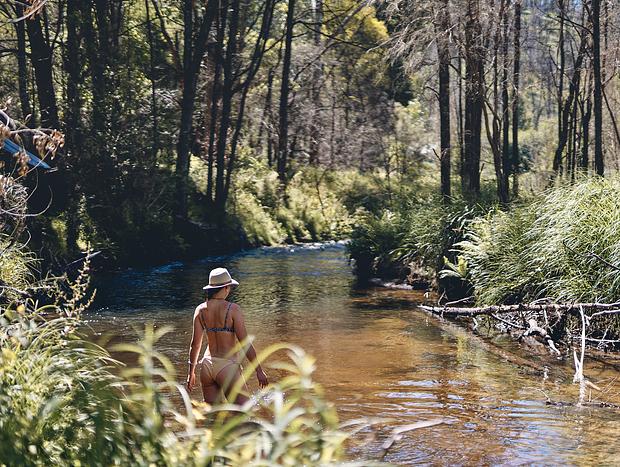 Photo 1 for Swimming the Brodribb River