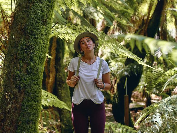 Photo 3 for Exploring Errinundra's Old Growth Forest