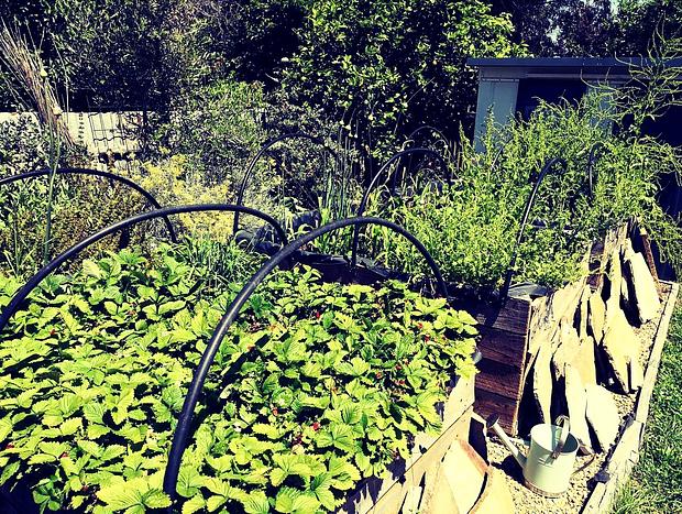 Photo 30 for Penny Farthing Studio Daylesford