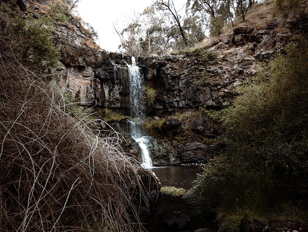 Photo 2 for Afternoon hike at Lal Lal