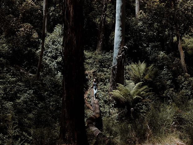 Photo 1 for Sailors Falls walk