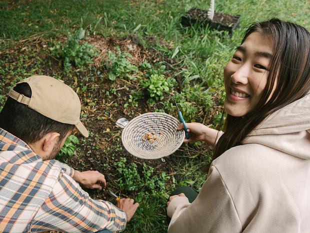 Photo 9 for Edible Bush Weeds Walk with Suzy