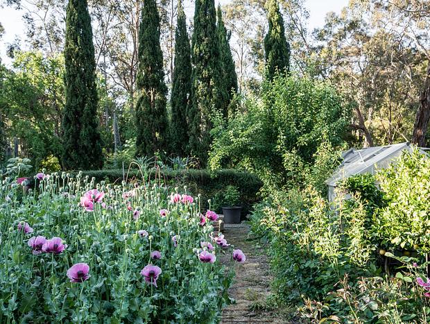 Photo 47 for Mokepilly Macedon Ranges - A Country Garden Escape