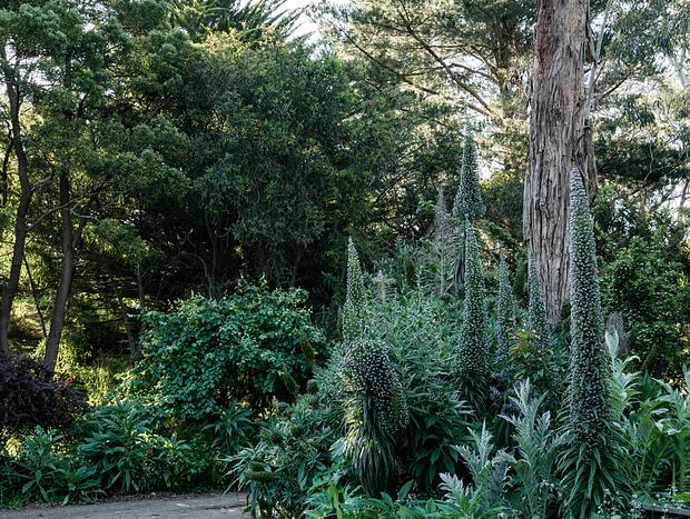 Photo 49 for Mokepilly Macedon Ranges - A Country Garden Escape
