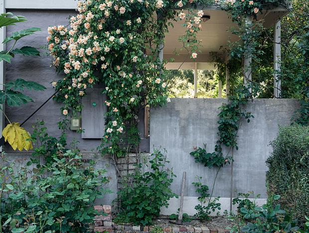 Photo 42 for Mokepilly Macedon Ranges - A Country Garden Escape
