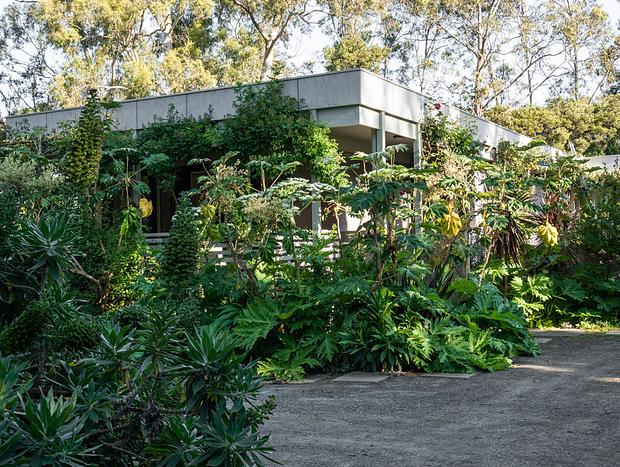 Photo 36 for Mokepilly Macedon Ranges - A Country Garden Escape