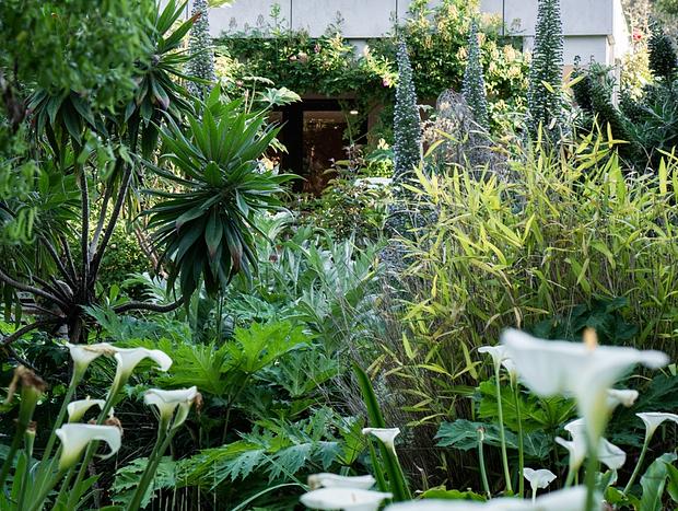 Photo 50 for Mokepilly Macedon Ranges - A Country Garden Escape