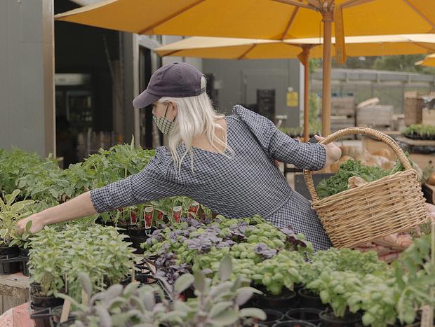 Photo 1 for Local Produce at Torello Farm