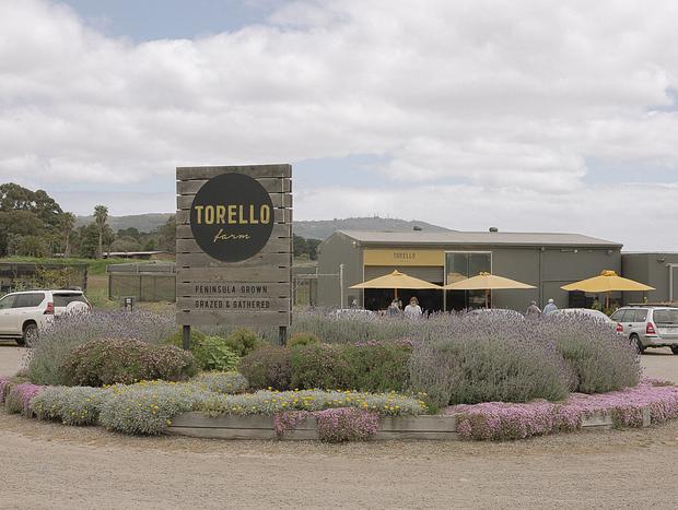 Photo 2 for Local Produce at Torello Farm
