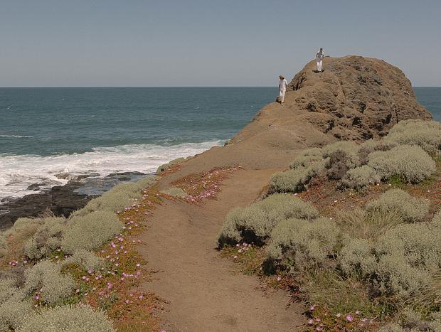Photo 1 for Views at Flinders Blowhole