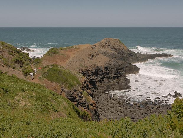 Photo 3 for Views at Flinders Blowhole