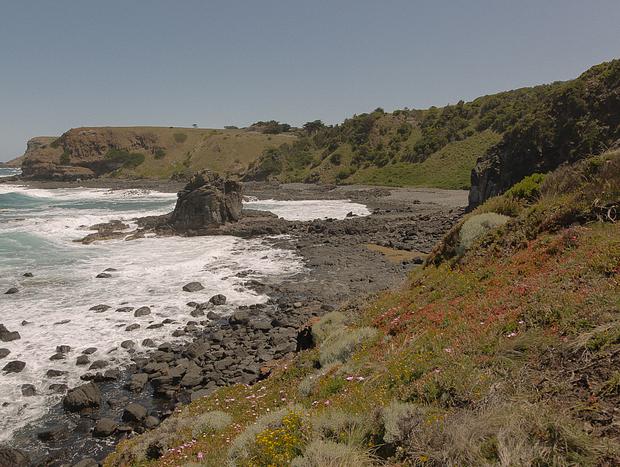 Photo 5 for Views at Flinders Blowhole