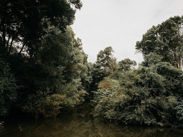 Photo 2 for Picnic on Wilson River