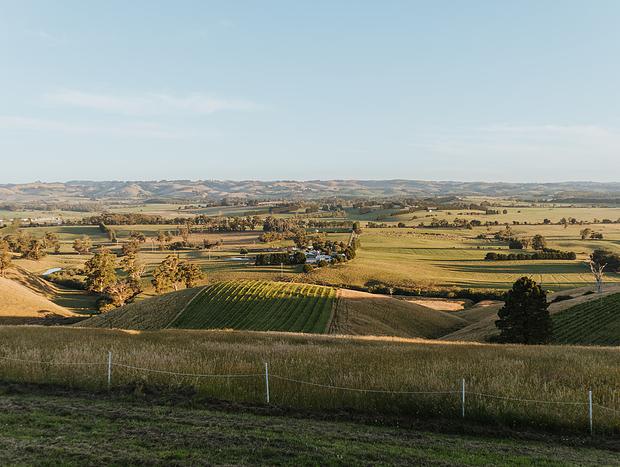 Photo 19 for Belrose Estate