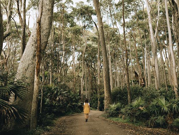 Photo 17 for Tiny Forest Getaway