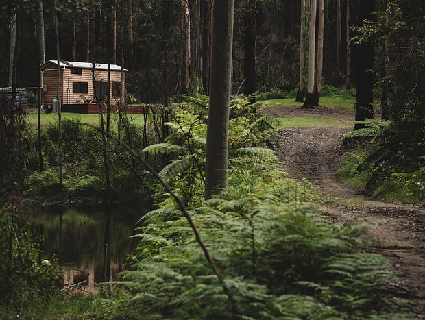 Photo 4 for Tiny Forest Getaway