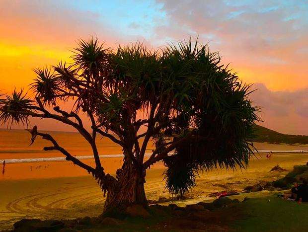 Photo 24 for Byron Bay hinterland vintage-styled nature oasis