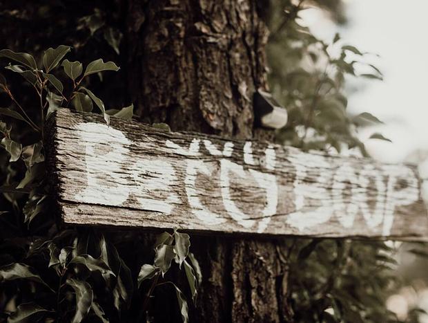 Photo 23 for Byron Bay hinterland vintage-styled nature oasis