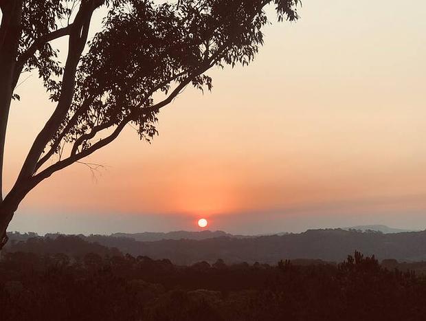 Photo 34 for Byron Bay hinterland vintage-styled nature oasis
