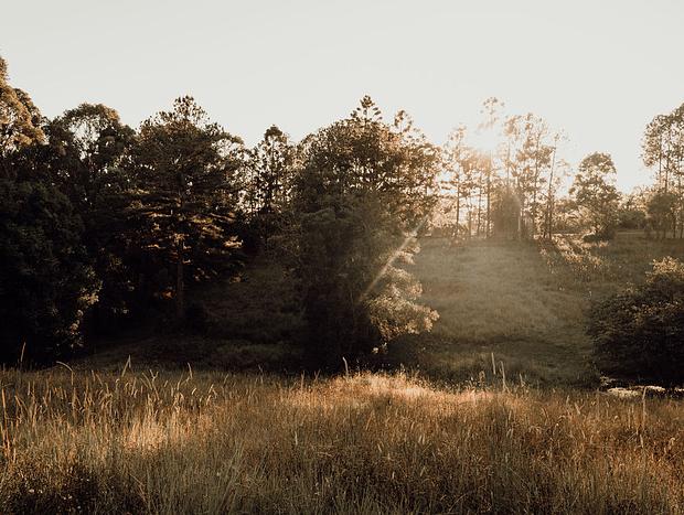 Photo 40 for Byron Bay hinterland vintage-styled nature oasis