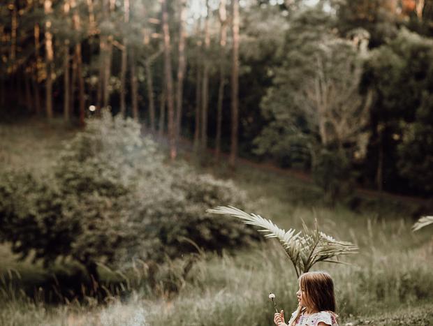 Photo 43 for Byron Bay hinterland vintage-styled nature oasis