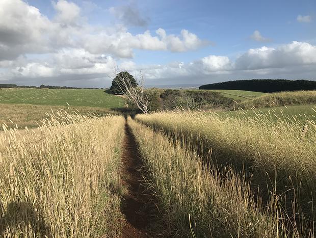 Photo 48 for Asmara @ 12 Apostles (Princetown)