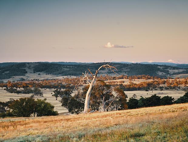 Photo 6 for Sundowner Drinks Overlooking The Main Range