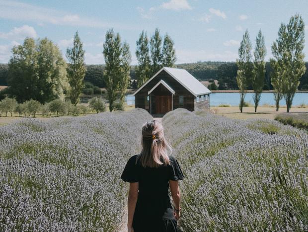 Photo 22 for Fairytale Getaway