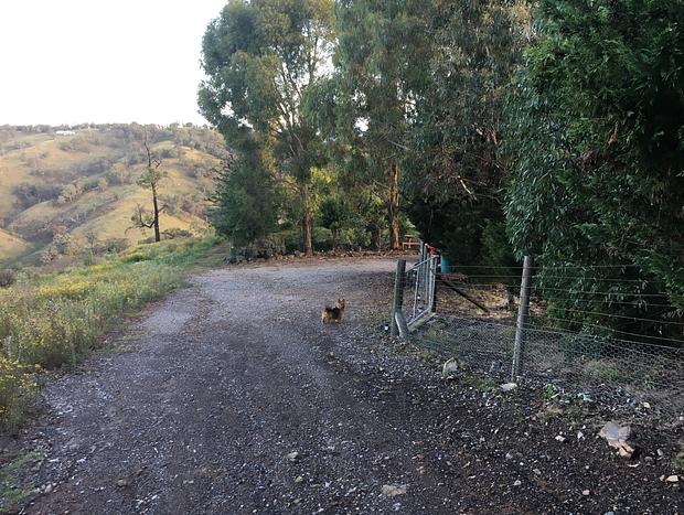 Photo 18 for Black Wattle Cabin - Turon Escape Capertee
