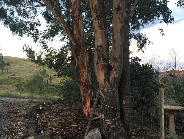 Photo 21 for Black Wattle Cabin - Turon Escape Capertee
