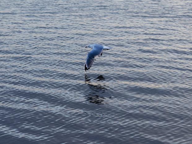 Photo 9 for undefined