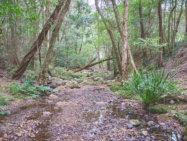 Photo 14 for Avalon River Retreat - A Healing Place