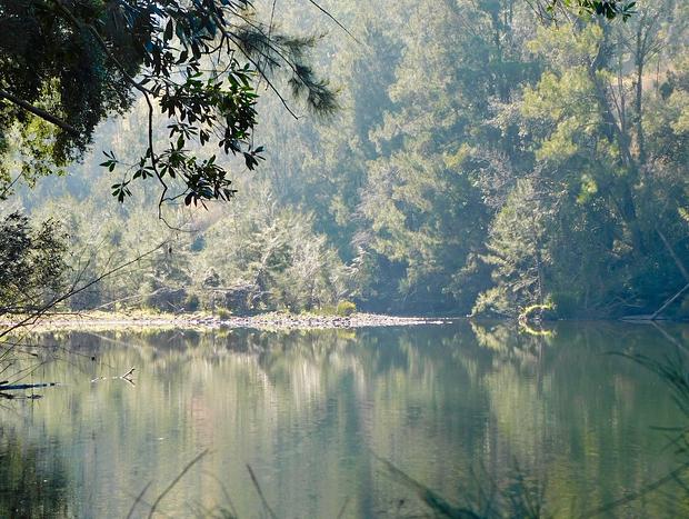 Photo 15 for Avalon River Retreat - A Healing Place