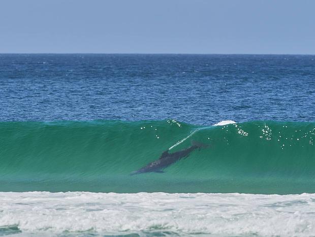 Photo 28 for Osprey - Stunning Boomerang Beach Hideaway