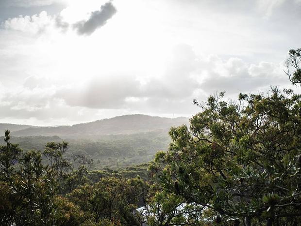 Photo 27 for Osprey - Stunning Boomerang Beach Hideaway