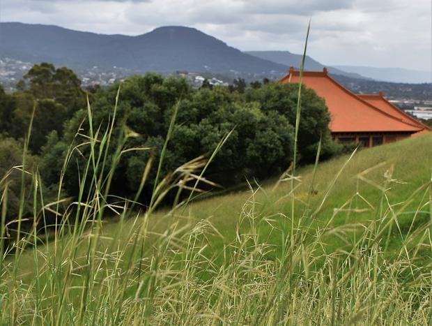 Photo 52 for The Bower - Stylish Garden Bungalow Mount Kembla