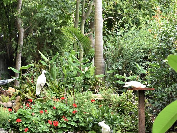 Photo 53 for The Bower - Stylish Garden Bungalow Mount Kembla