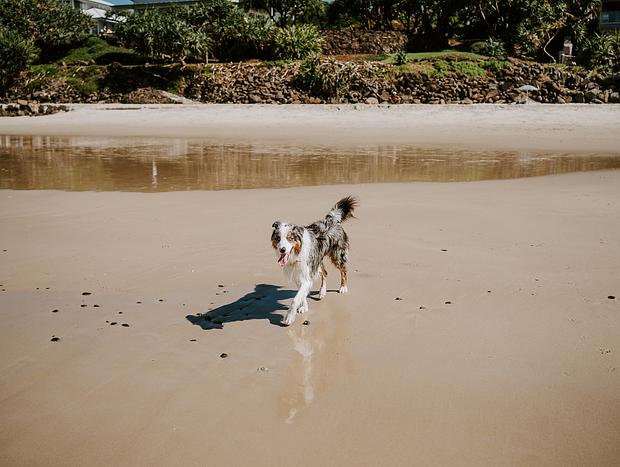 Photo 4 for undefined