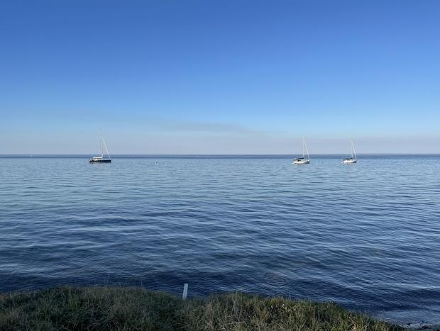 Photo 34 for Bellarine Beach Shack