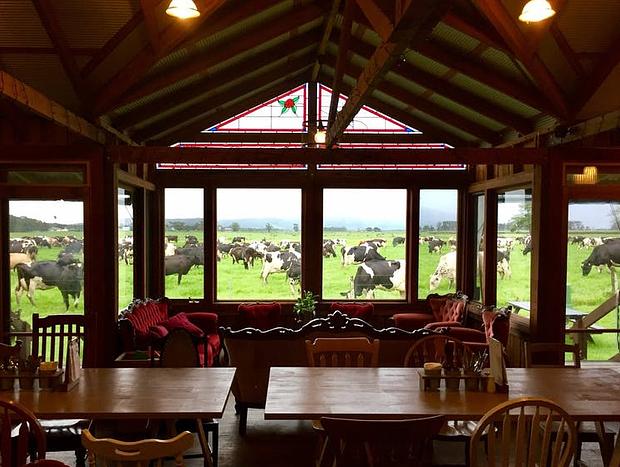 Photo 33 for Tranquil South Coast Homestead Near Jervis Bay