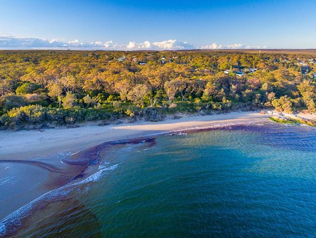Photo 32 for Tranquil South Coast Homestead Near Jervis Bay