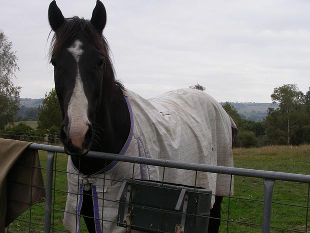 Photo 14 for Tranquil Farm Stay