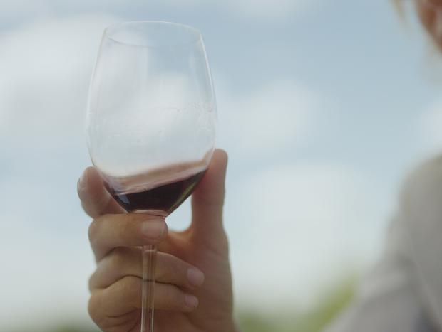Photo 5 for Wine & Dine at Lowes