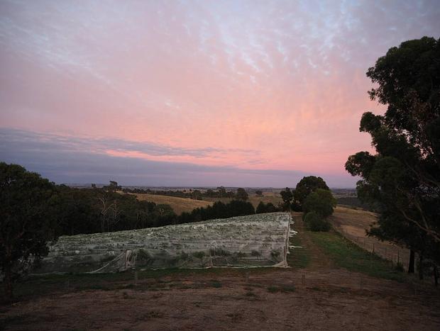 Photo 22 for On a Peaceful Vineyard in the Yarra Valley (A1)