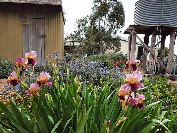 Photo 30 for On a Peaceful Vineyard in the Yarra Valley (A1)