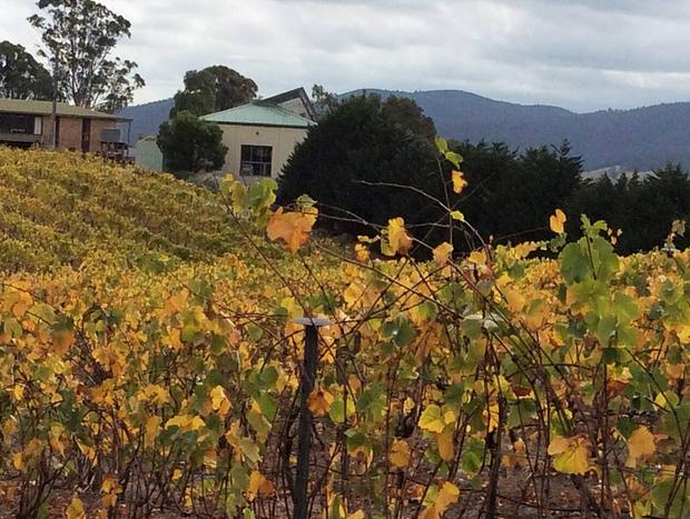 Photo 32 for On a Peaceful Vineyard in the Yarra Valley (A1)